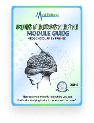 Guide3