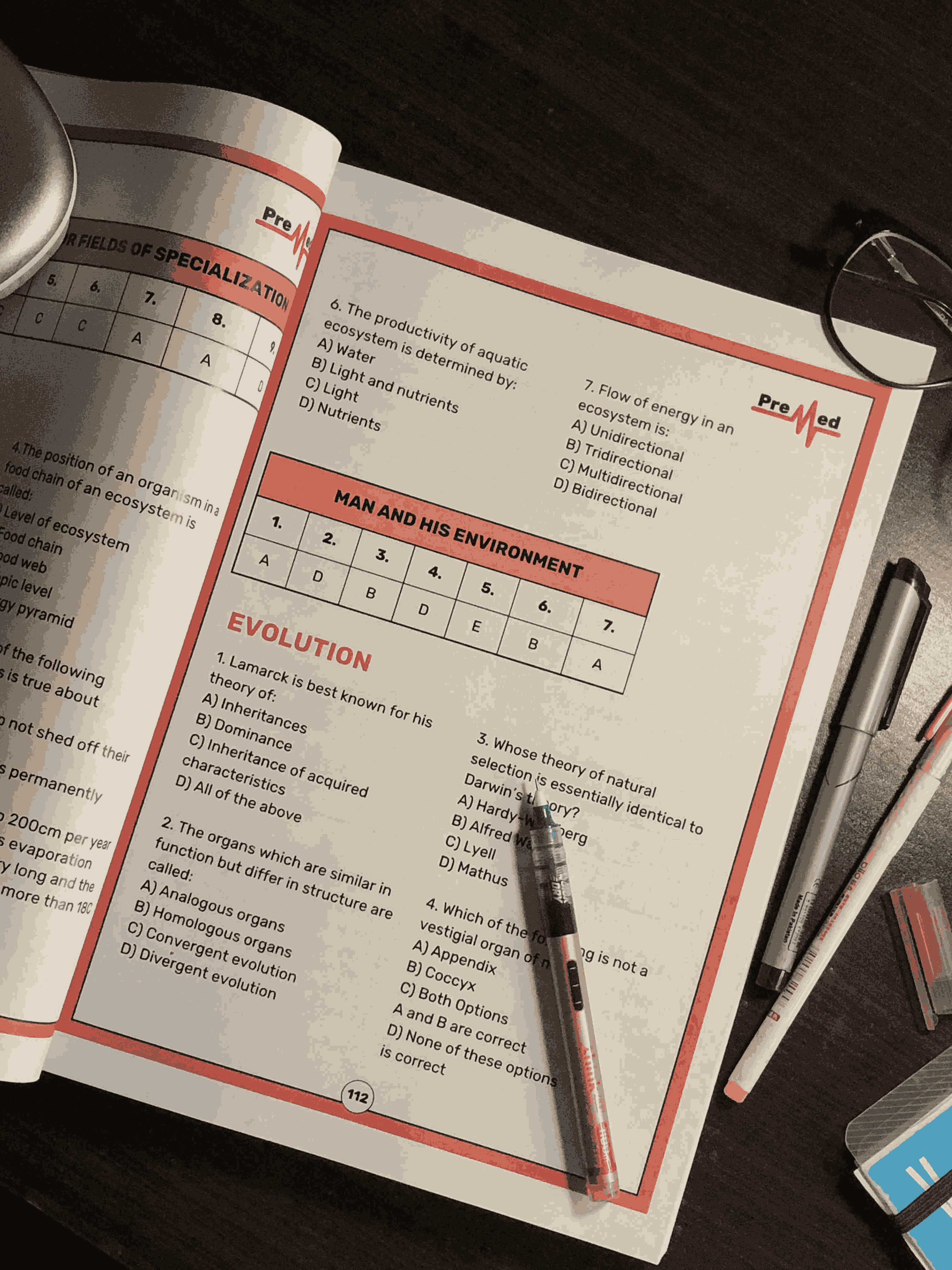 Late Night Study Session